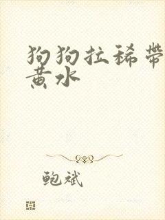 狗狗拉稀带血吐黄水