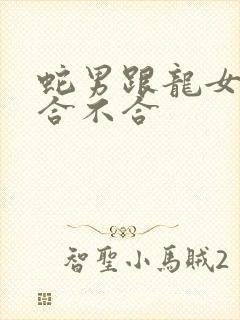 蛇男跟龙女属相合不合