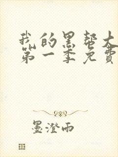 我的黑帮大佬的第一季免费