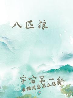 八匹狼