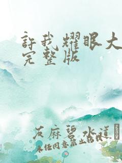 许我耀眼大结局完整版