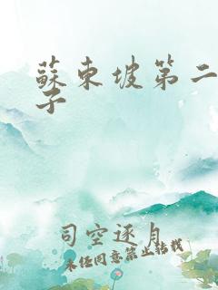 苏东坡第二任妻子