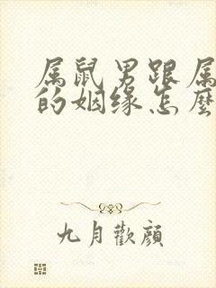 属鼠男跟属牛女的姻缘怎么样