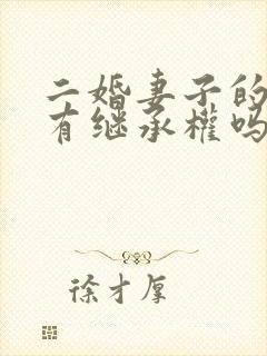 二婚妻子的孩子有继承权吗