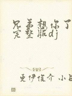 兄弟想你了原唱完整版dj