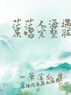 茫茫人海遇见你原唱完整版dj