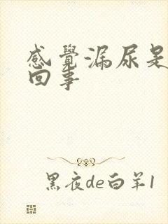 感觉漏尿是怎样回事