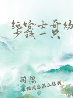 纯哈士奇幼犬多少钱一只