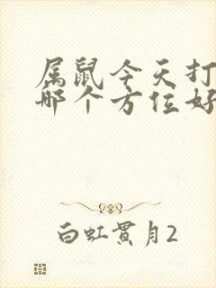 属鼠今天打牌坐哪个方位好