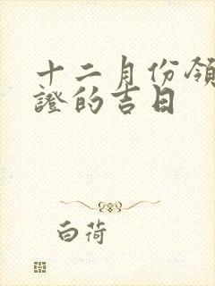 十二月份领结婚证的吉日