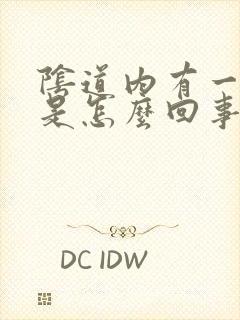 阴道内有一个包是怎么回事