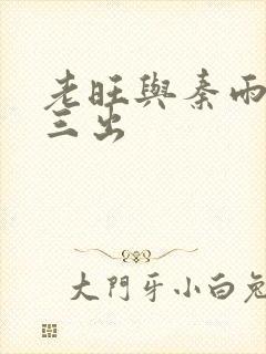 老旺与秦雨三进三出