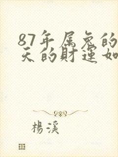 87年属兔的今天的财运如何