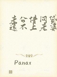 老公借网贷的钱还不上老婆要还吗