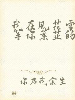 我在风花雪月里等你叶芷的孩子