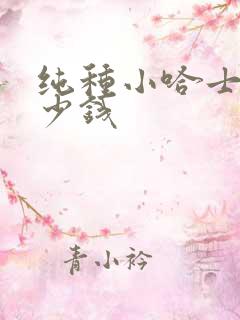 纯种小哈士奇多少钱