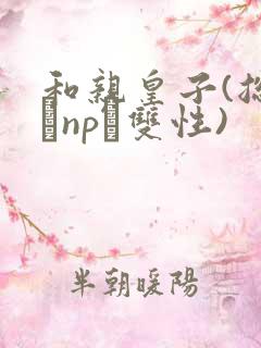 和亲皇子(总受·np·双性)