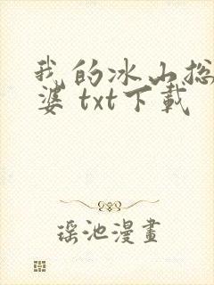 我的冰山总裁老婆 txt下载