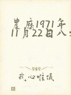 农历1971年11月22日八字