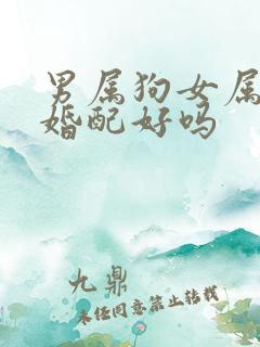 男属狗女属猴的婚配好吗