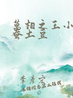 万相之王小说天蚕土豆