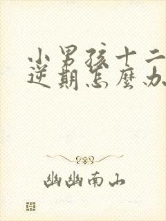 小男孩十二岁叛逆期怎么办