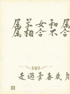 属羊女和属马男属相合不合