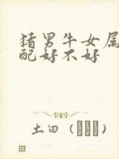 猪男牛女属相婚配好不好