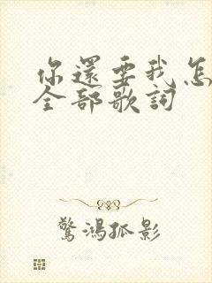你还要我怎样的全部歌词