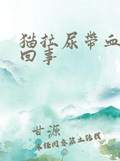 猫拉尿带血怎么回事