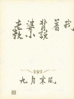 老婆背着我被调教小说