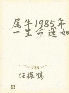 属牛1985年一生命运如何