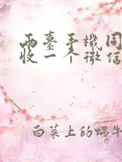 两台手机同时接收一个微信聊天