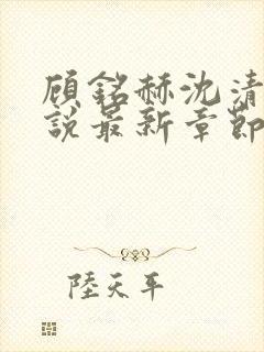 顾铭赫沈清凝小说最新章节免费阅读
