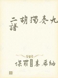 二胡独奏九儿简谱