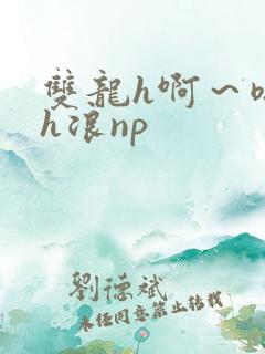 双龙h啊～嗯啊h浪np