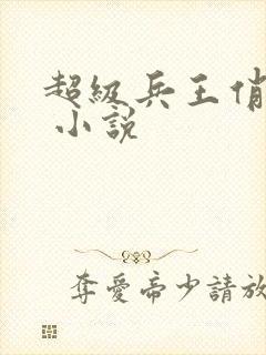 超级兵王俏总裁 小说