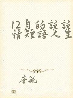 12月的说说心情短语人生感悟