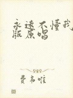 永远不懂我dj版原唱