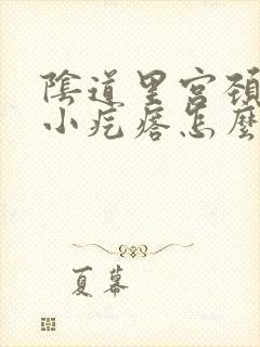 阴道里宫颈口有小疙瘩怎么回事