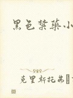 黑色禁药小说