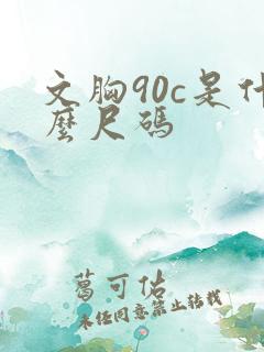 文胸90c是什么尺码