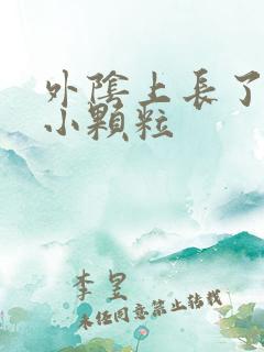 外阴上长了一些小颗粒