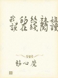 我的丝袜姐姐小说在线阅读