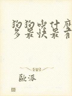 狗狗吃什么奶水多最快最有效