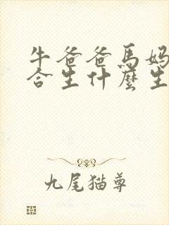 牛爸爸马妈妈适合生什么生肖的宝宝