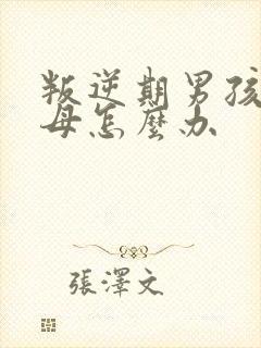 叛逆期男孩骂父母怎么办