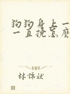 狗狗身上一直痒一直挠怎么回事