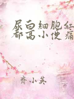 尿白细胞红细胞都高小便痛