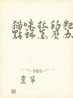 猫咪拉的粑粑有点稀怎么办